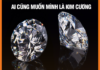 KHÔNG CÓ ÁP LỰC KHÔNG CÓ KIM CƯƠNG